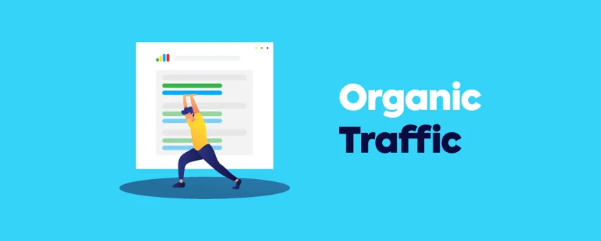  Organic Traffic