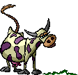 animado vaca purpura
